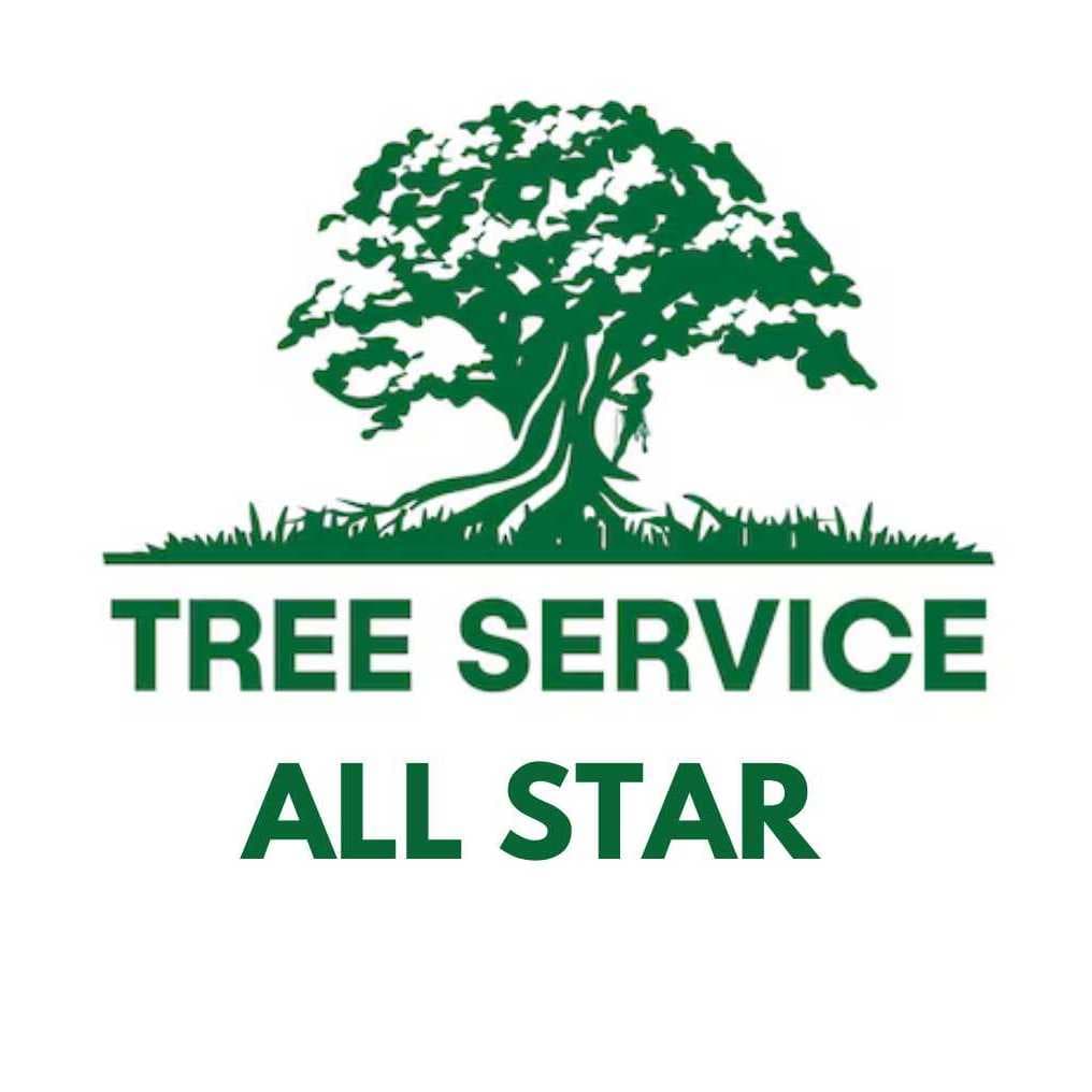 Tree Service All Stars