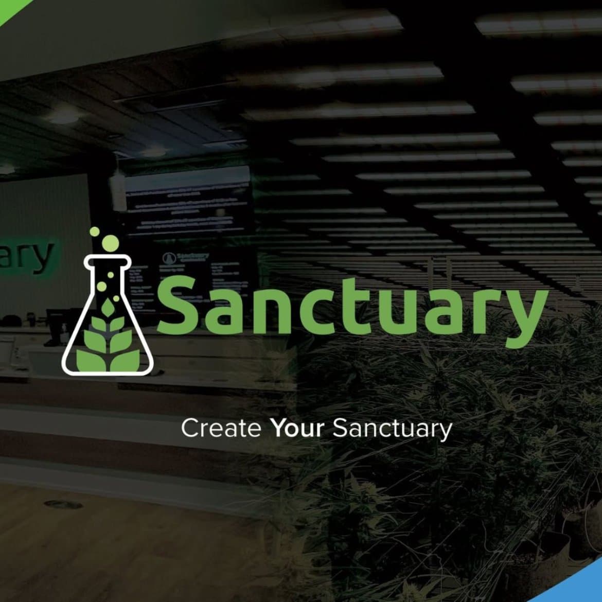 Sanctuary Cannabis