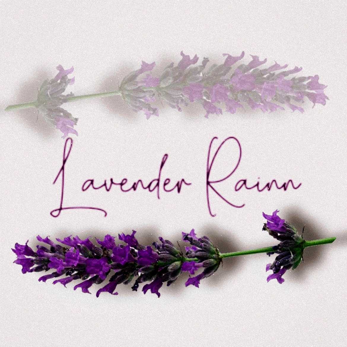 Lavender Rainn Spa