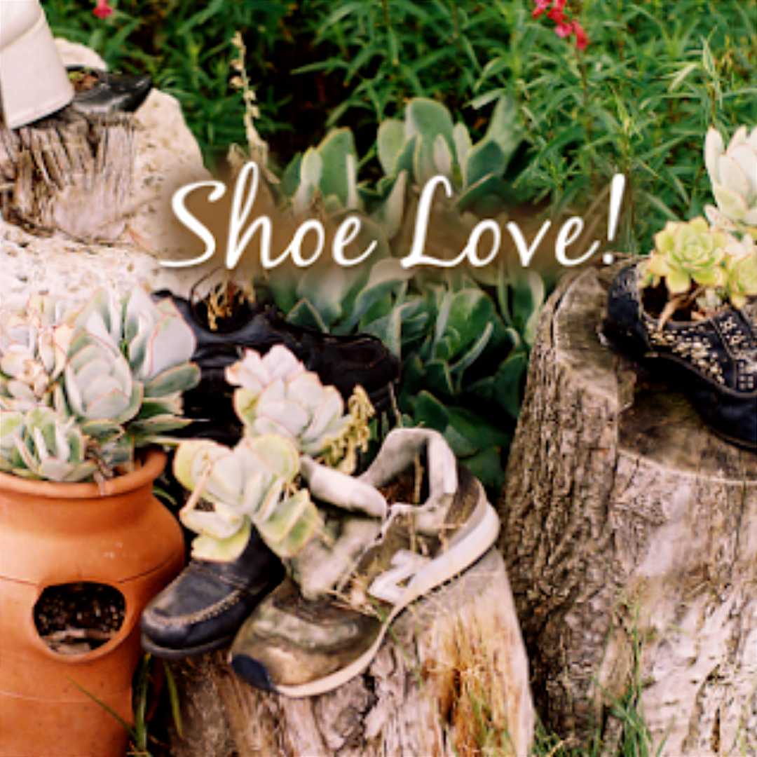 Cove Shoe Repair Boca Raton