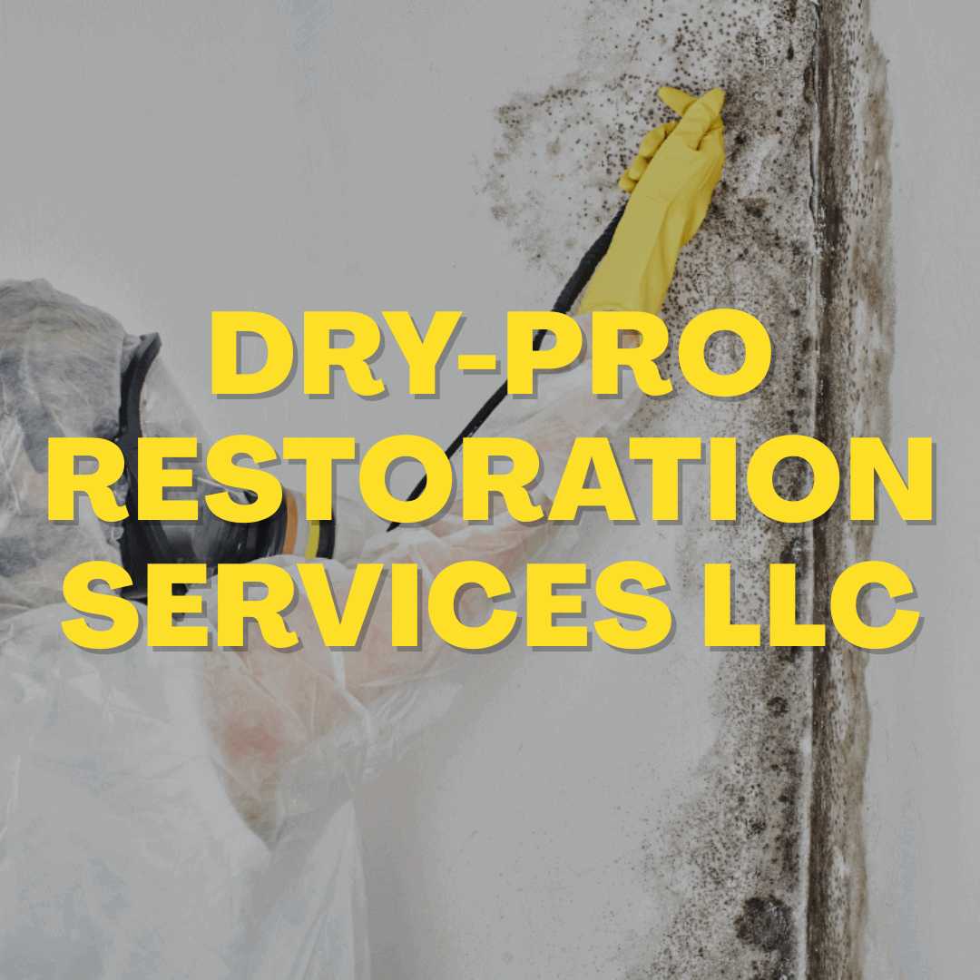 Dry-Pro Restoration Services LLC