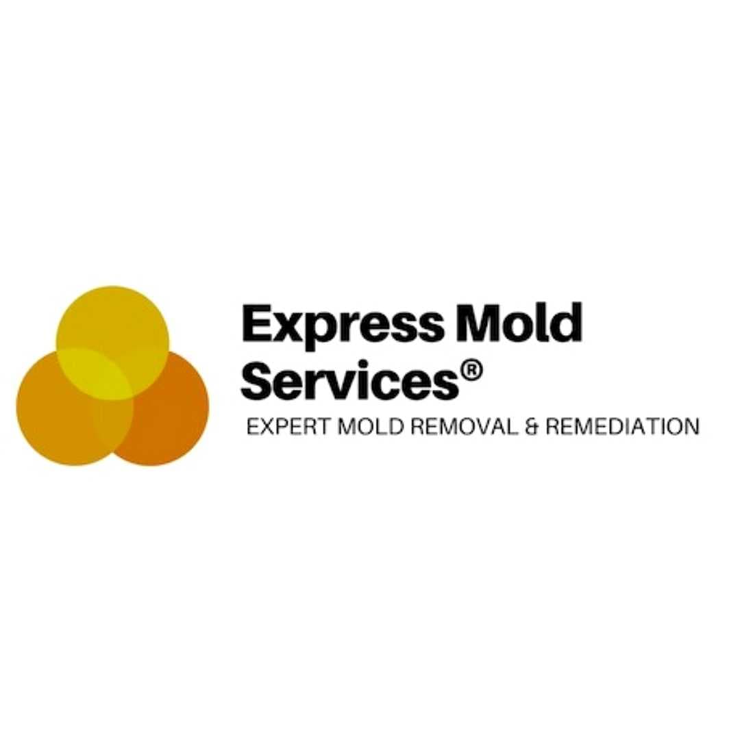 Express Mold Services