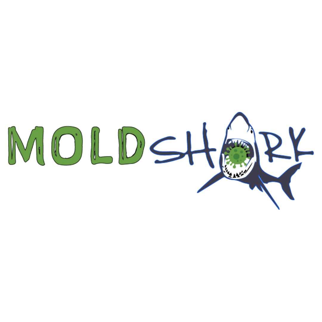 Mold Shark