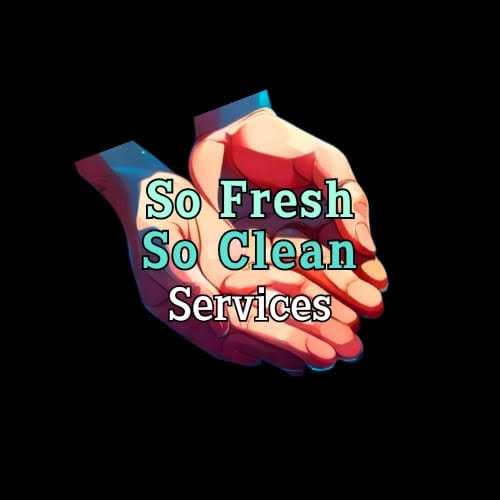 So Fresh So Clean Services