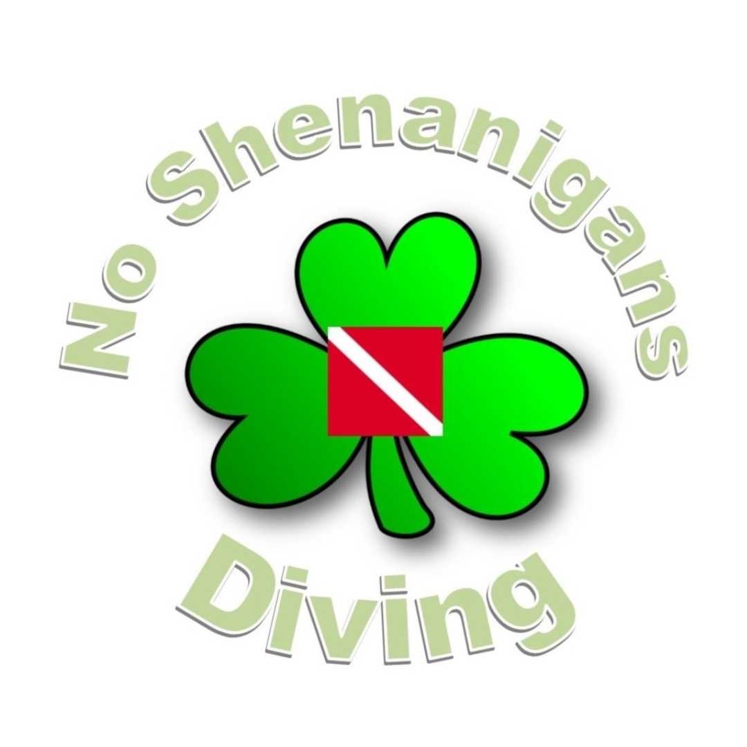No Shenanigans Diving