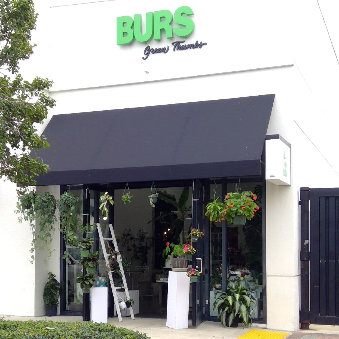 Burs Green Thumbs