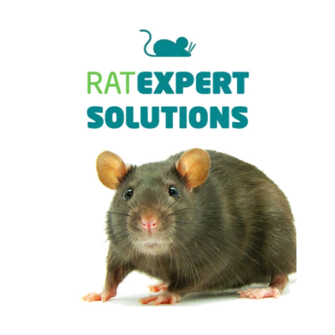 Rat Expert Solutions