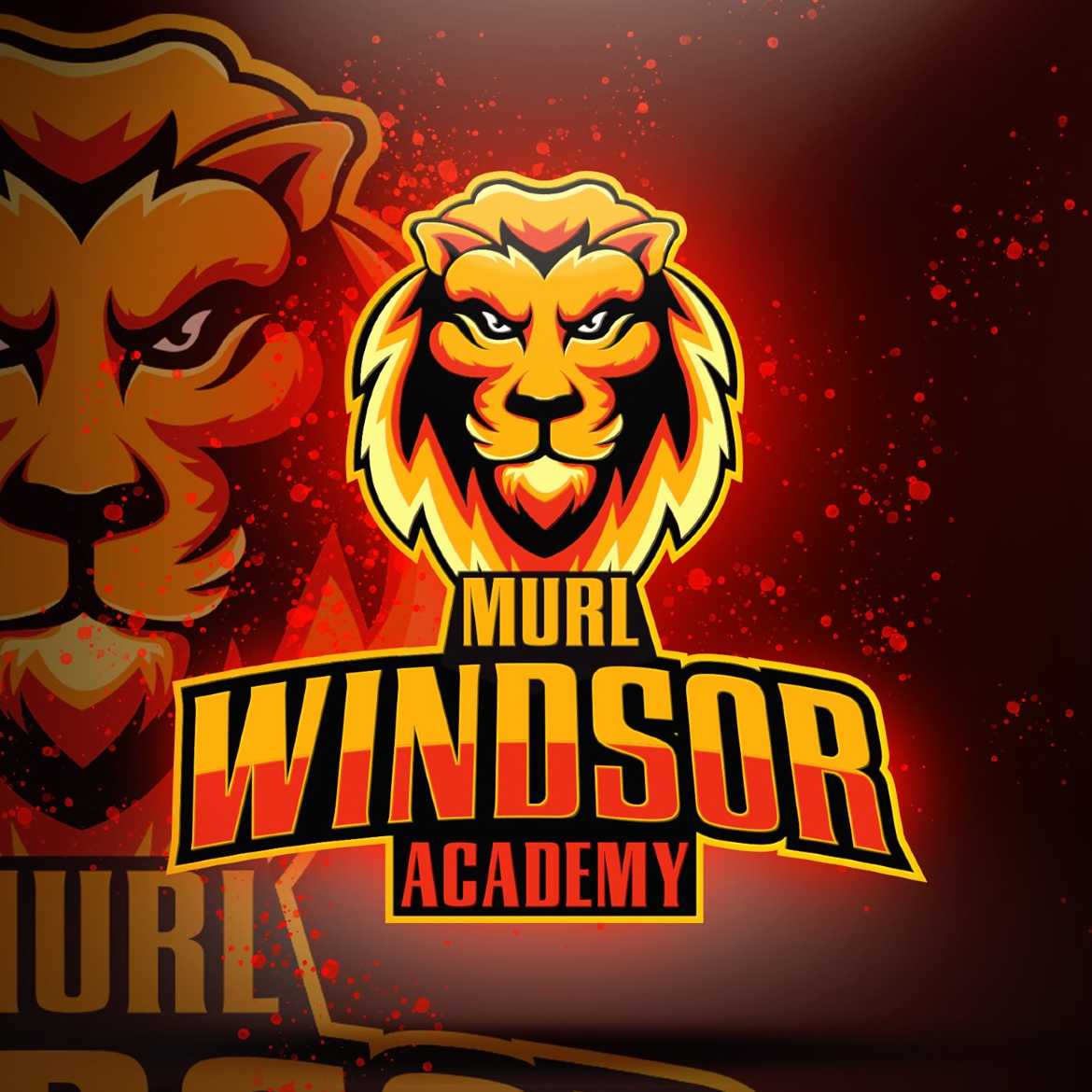 Murl Windsor Academy