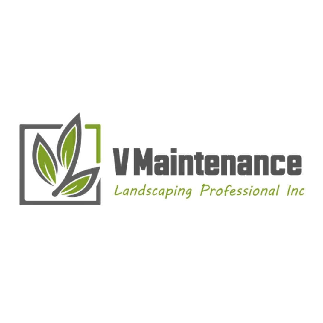 V Maintenance Landscaping Professional Inc