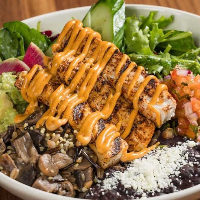 Ivy Stark Mexology in Jax&Co Food Hall
