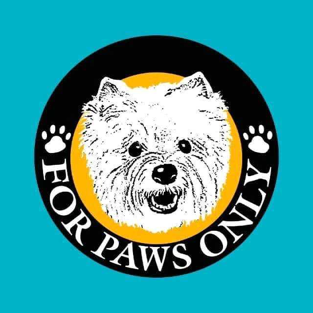 For Paws Only
