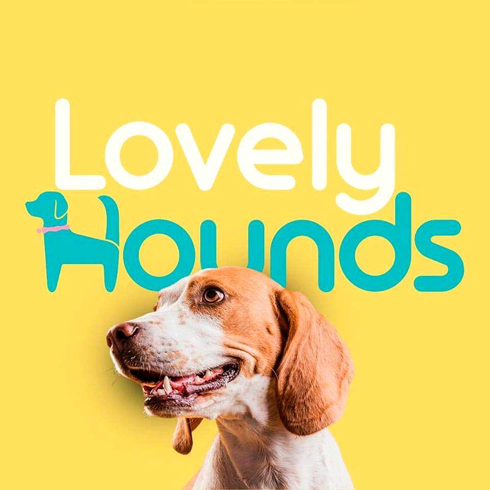 Lovely Hounds Grooming
