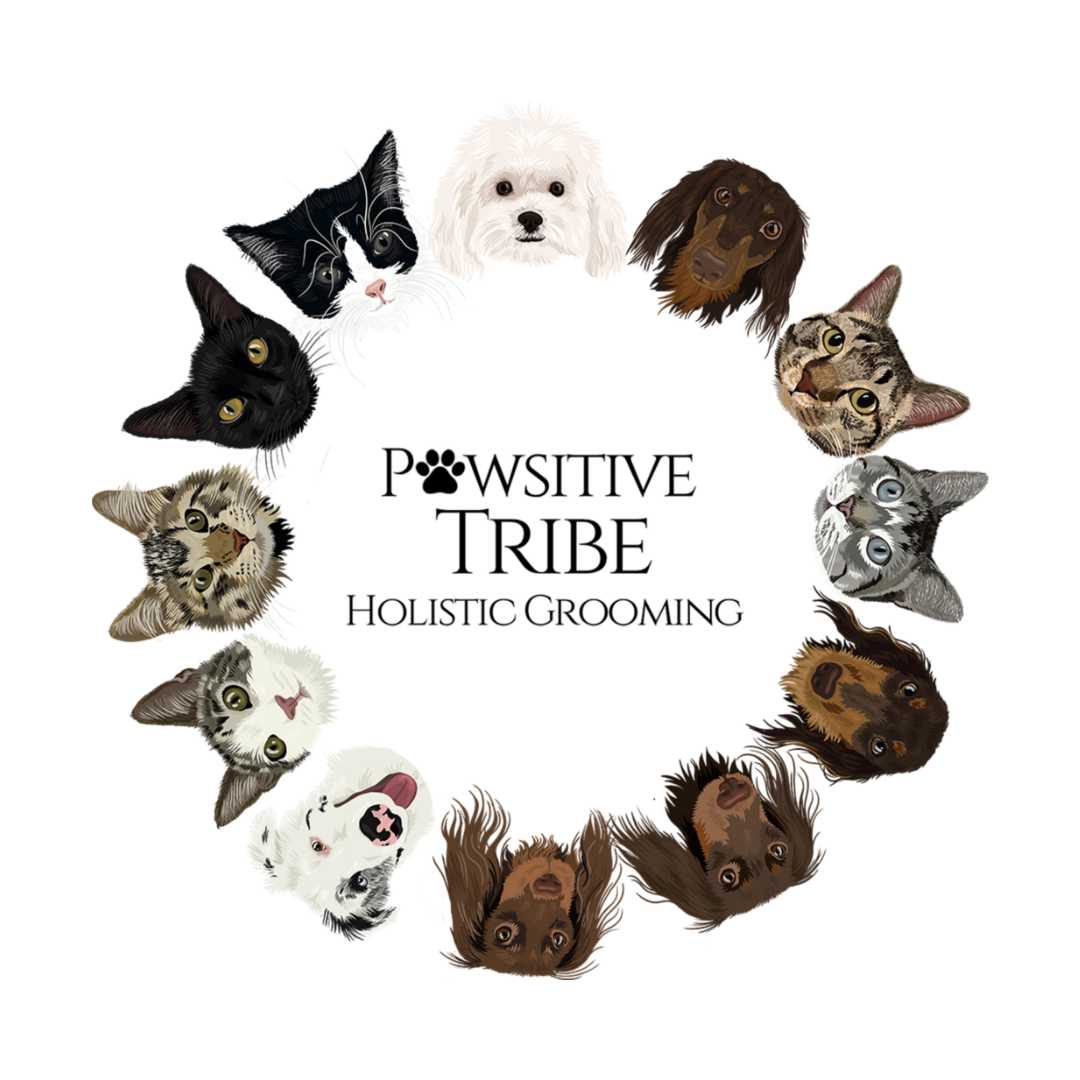 Pawsitive Tribe Holistic Grooming