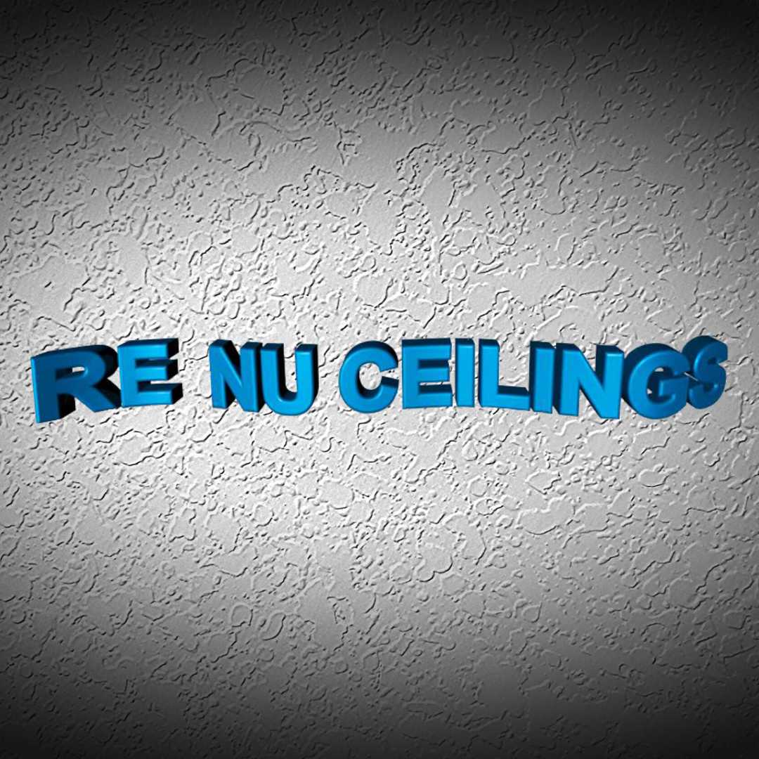 Re Nu Ceilings Inc.