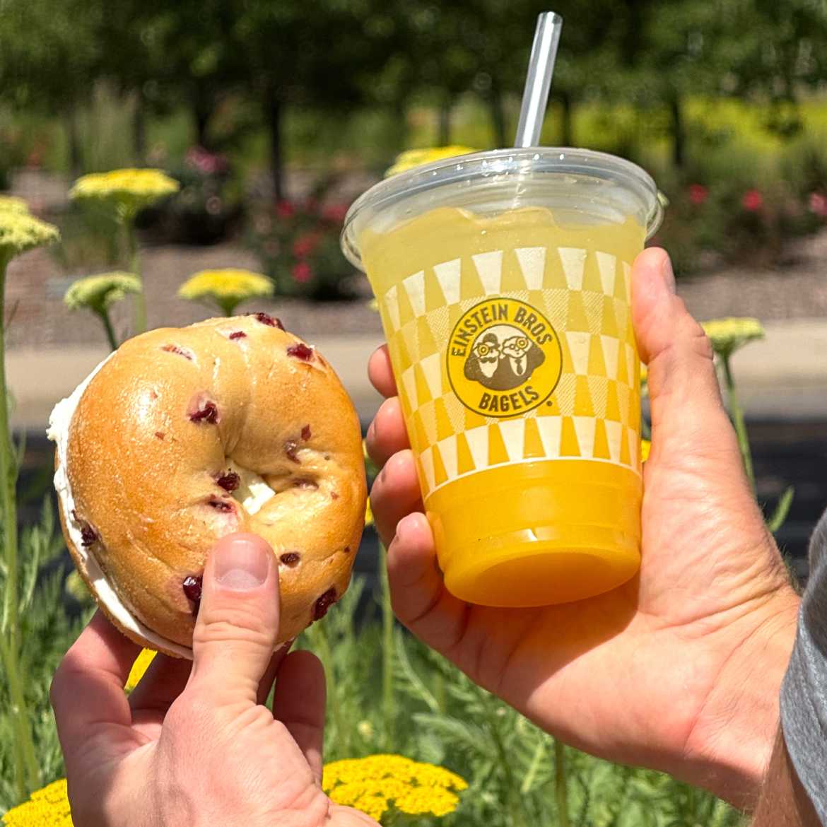 Einstein Bros. Bagels