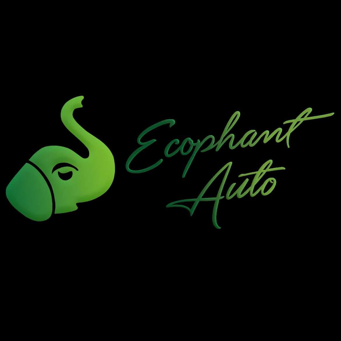 EcoPhant Auto Detailing