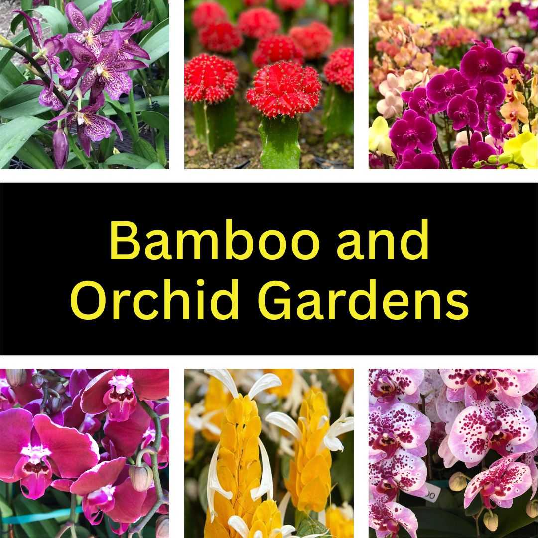 Bamboo And Orchid Gardens