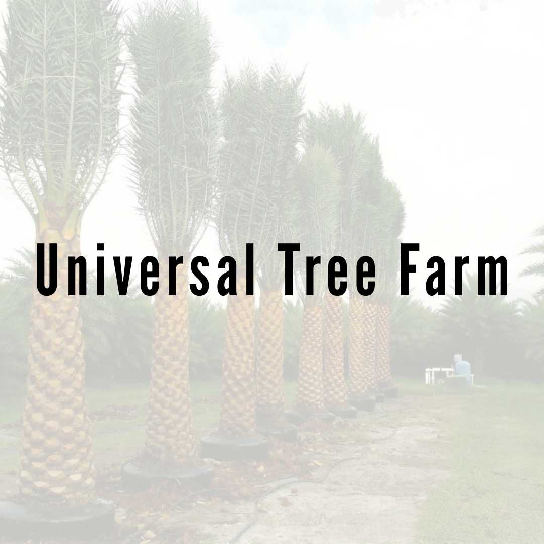 Universal Tree Farm LLC