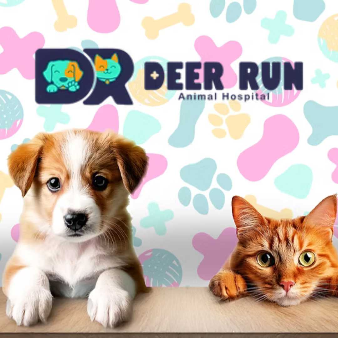 Deer Run Animal Hospital