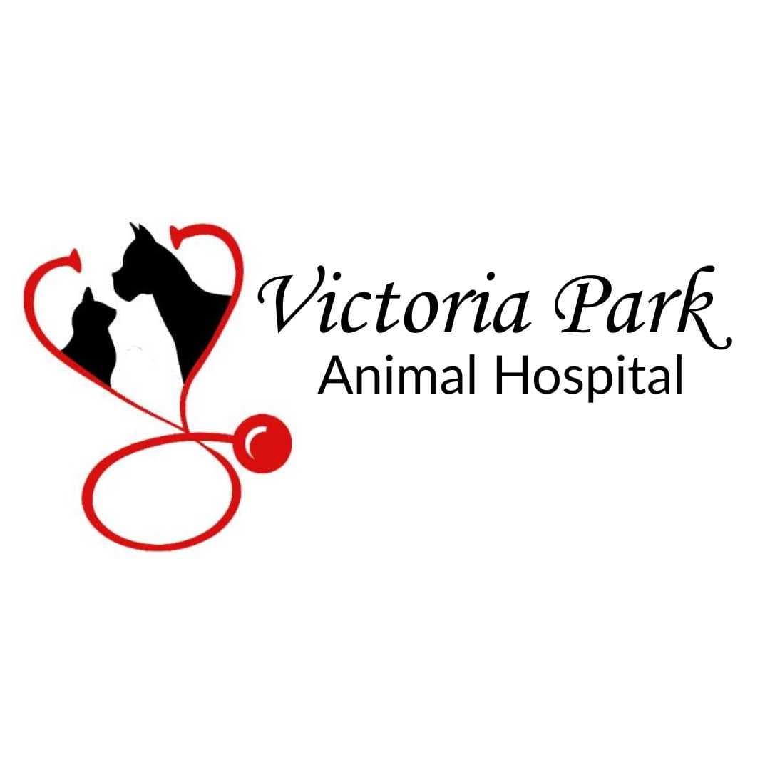 Victoria Park Animal Hospital