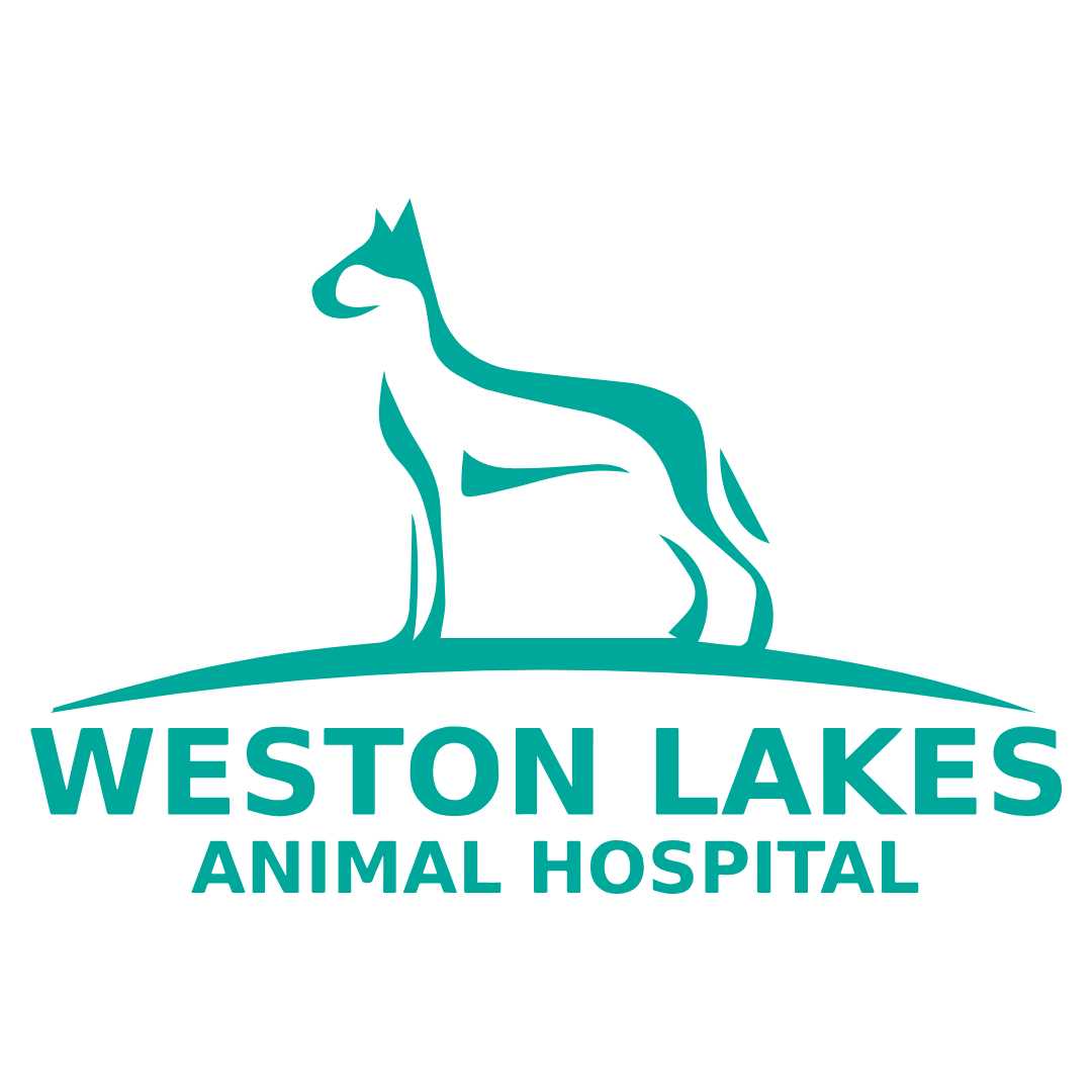 Weston Lakes Animal Hospital