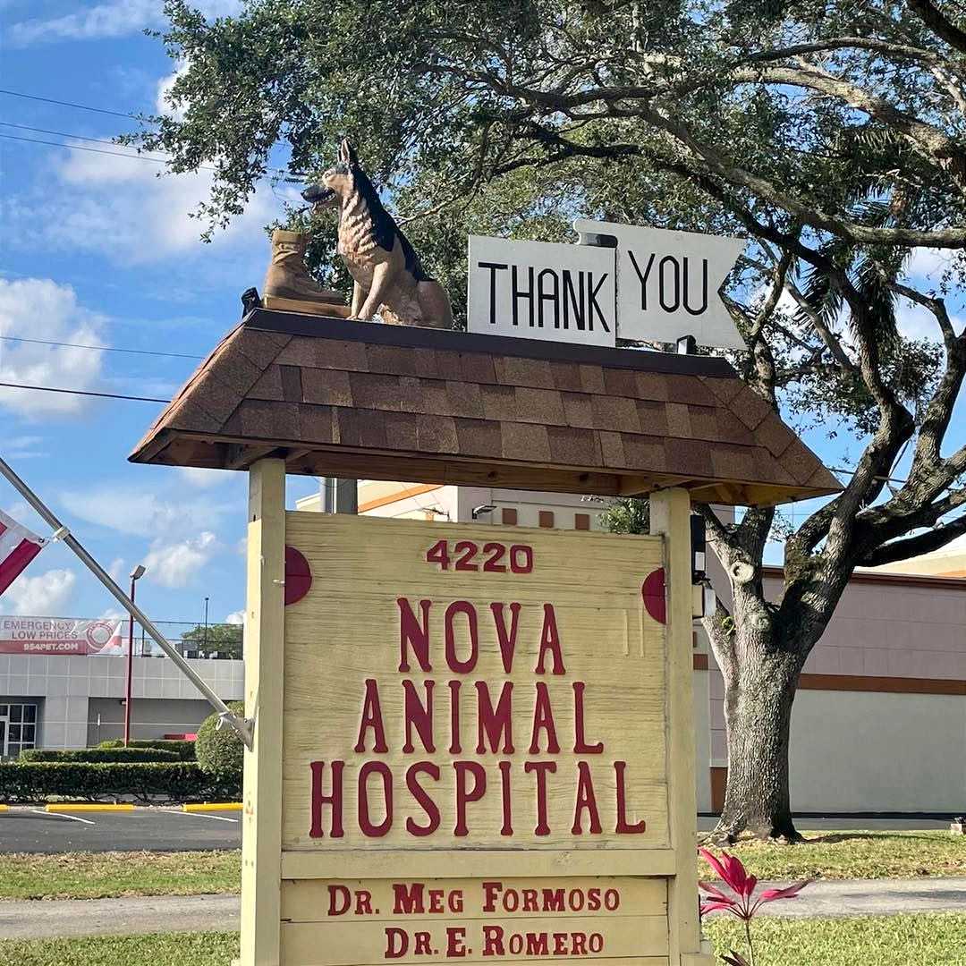 Nova Animal Hospital