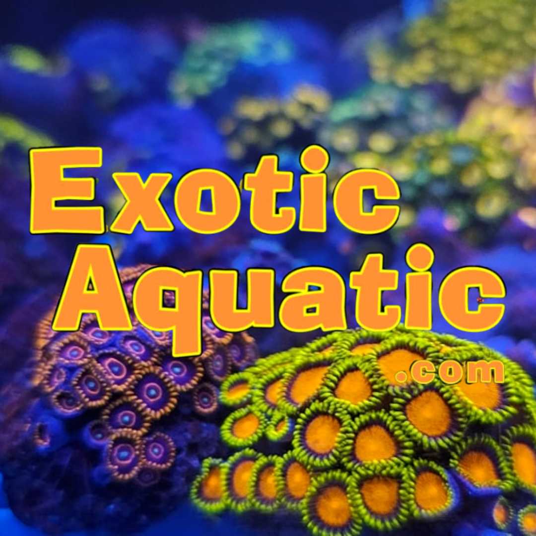 Exotic Aquatic