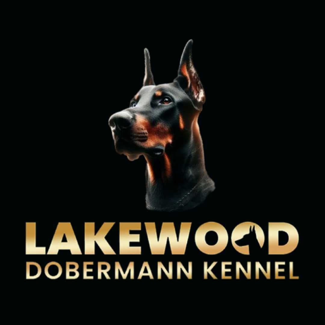 Lakewood Dobermann Kennel