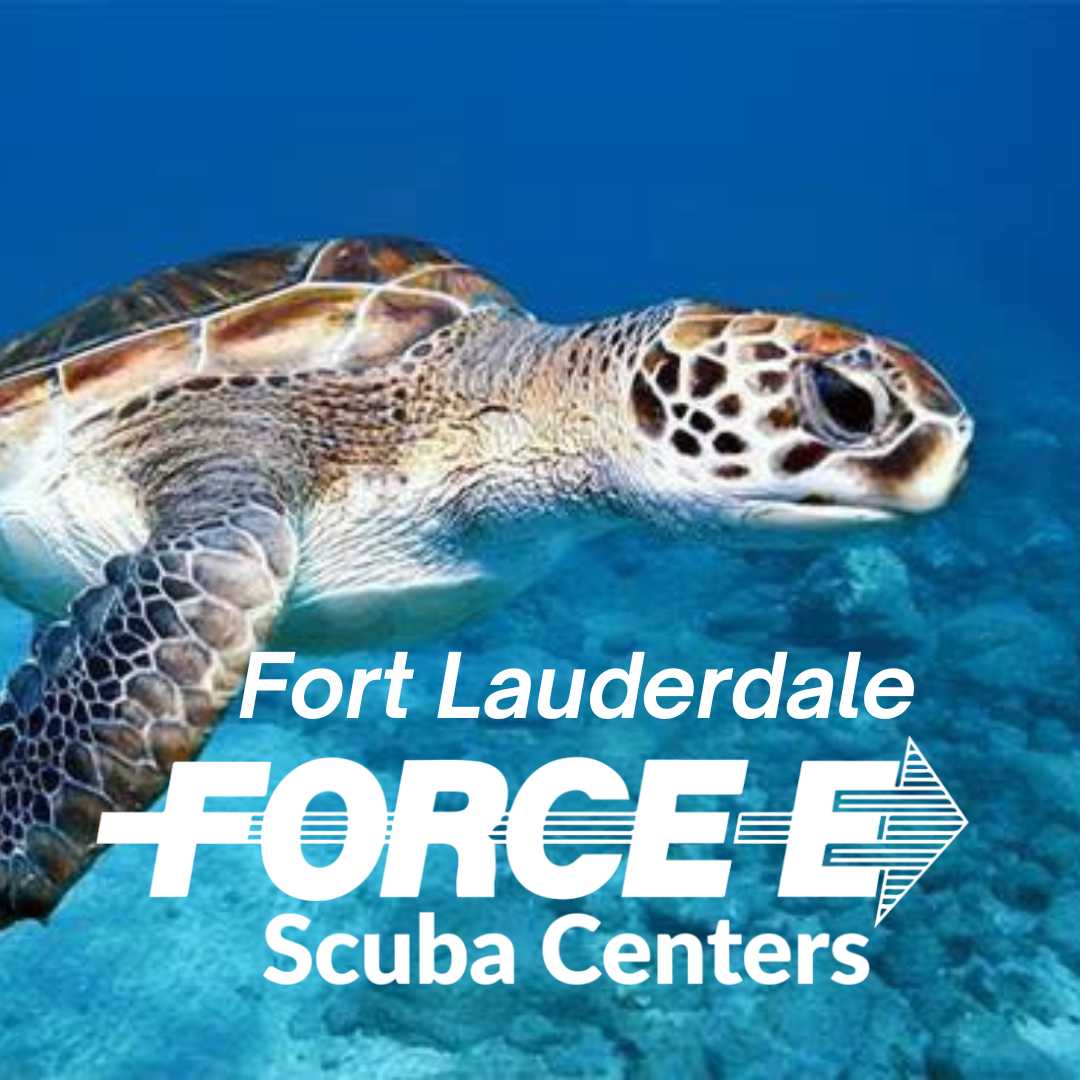 Force-E Scuba Centers
