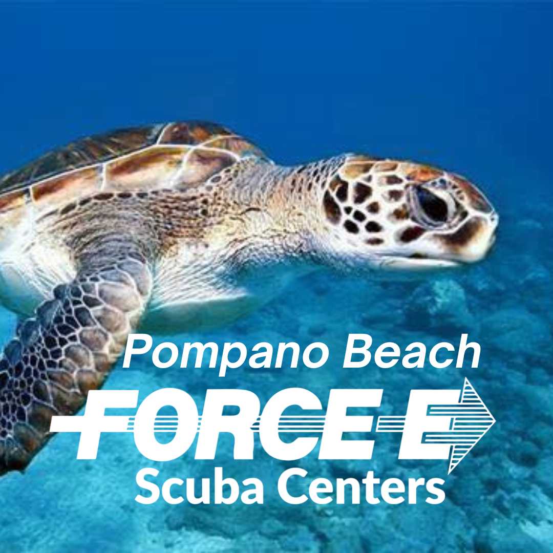 Force-E Scuba Centers