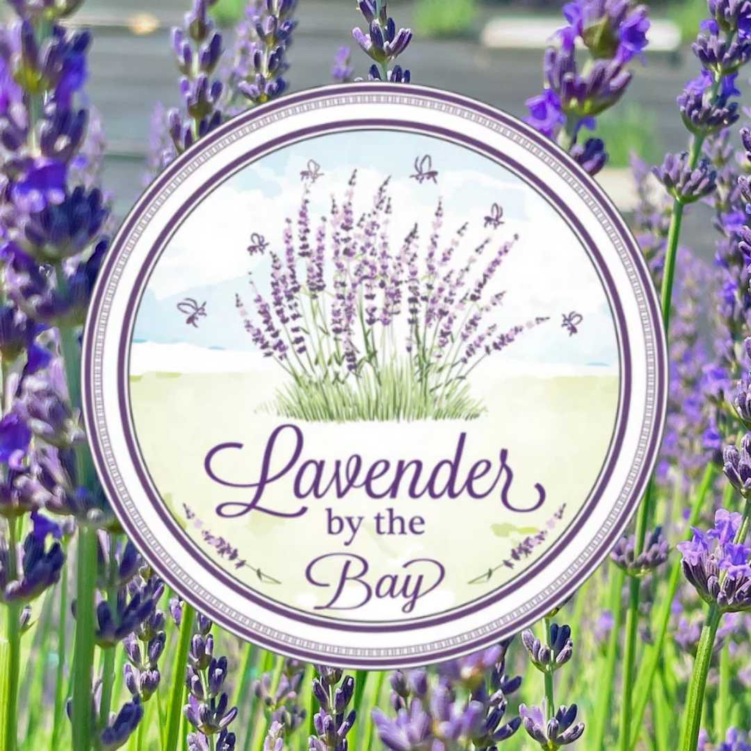 Lavender By the Bay
