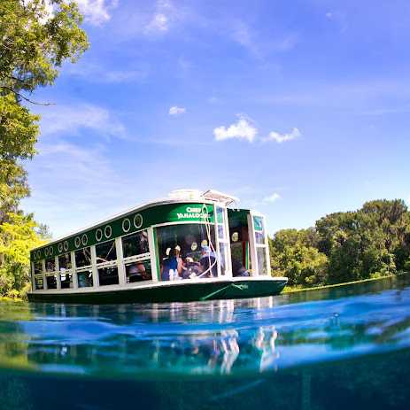 Glass Bottom Boats