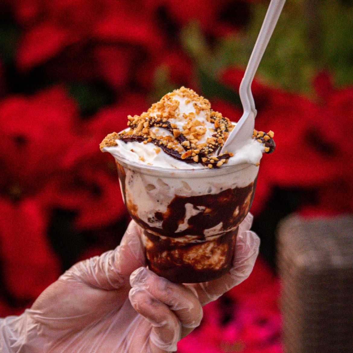 Razzleberry's Ice Cream