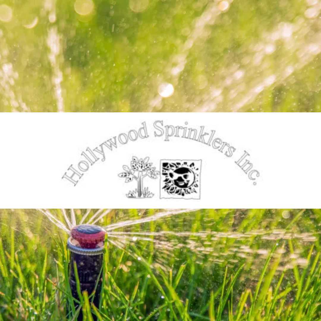 Hollywood Sprinklers