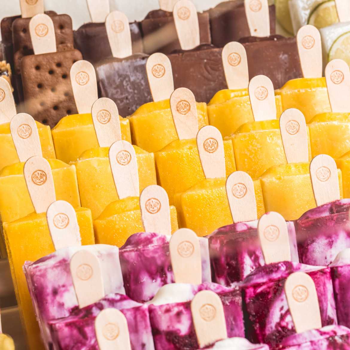 Morelia Gourmet Paletas