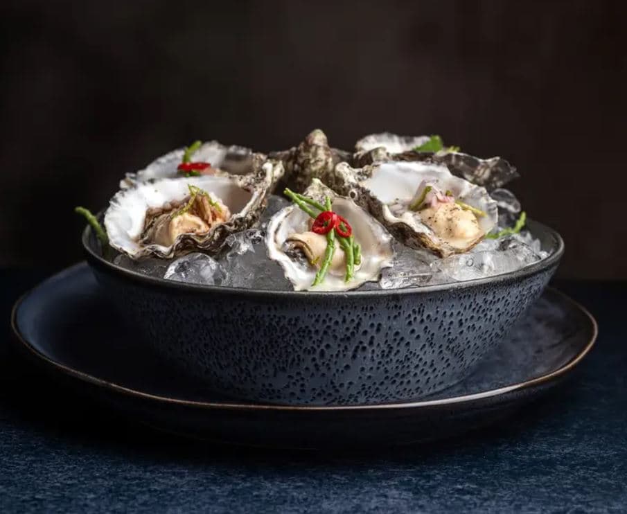 J&C Oyster
