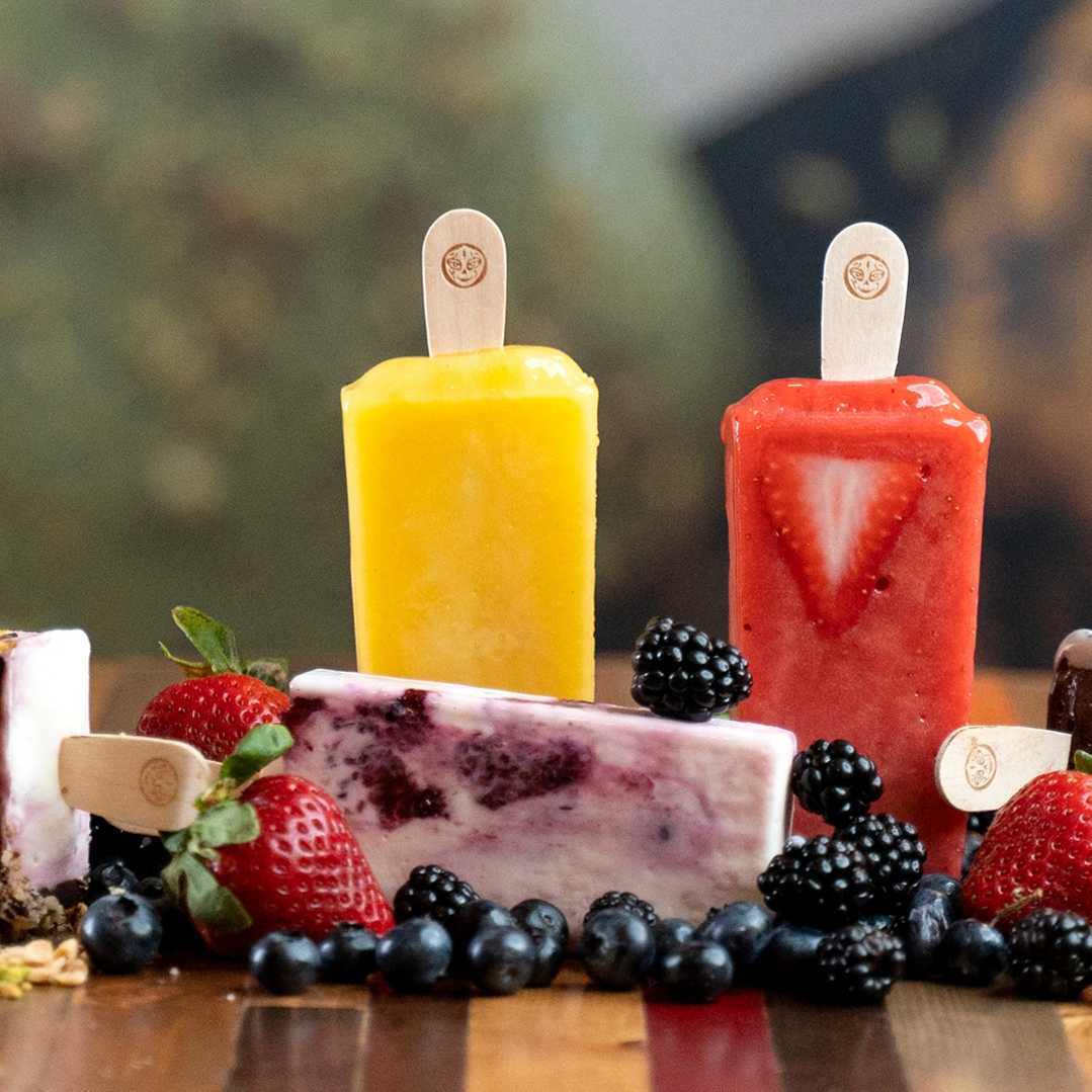 Morelia Gourmet Paletas