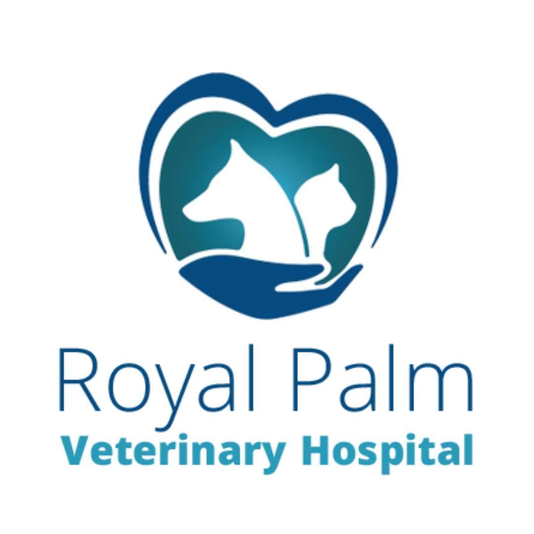 Royal Palm Veterinary Hospital