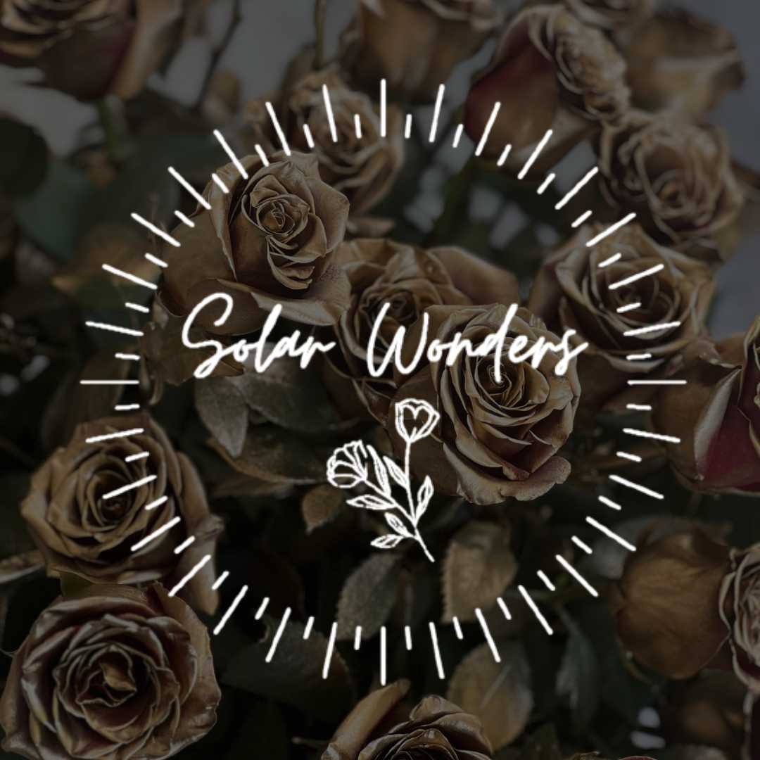 Solar Wonders Flower Boutique