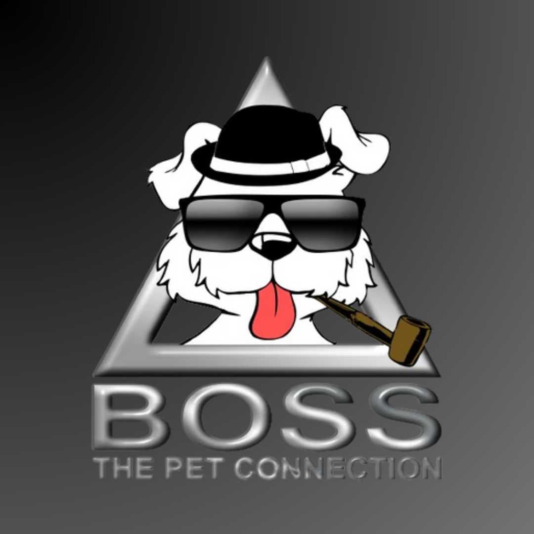 Boss the Pet Connection