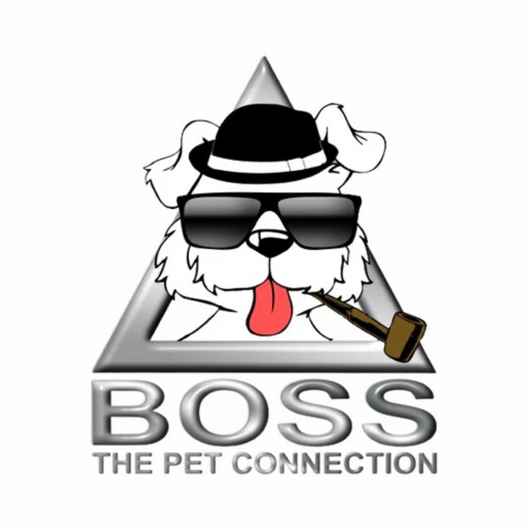Boss the Pet Connection