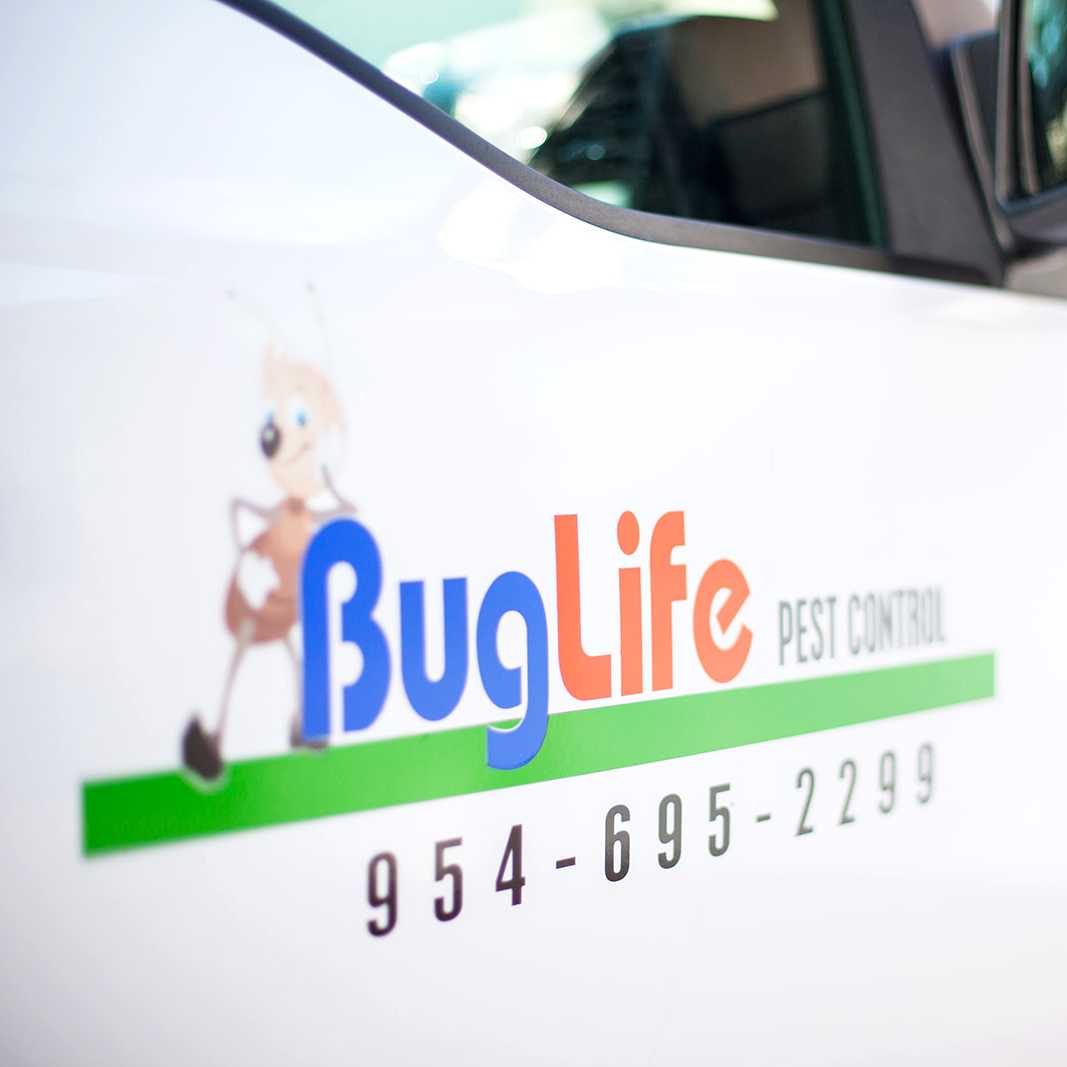 BugLife Pest Control