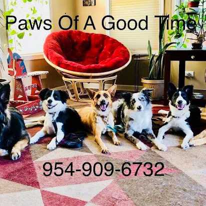 Paws Of A Good Time, LLC