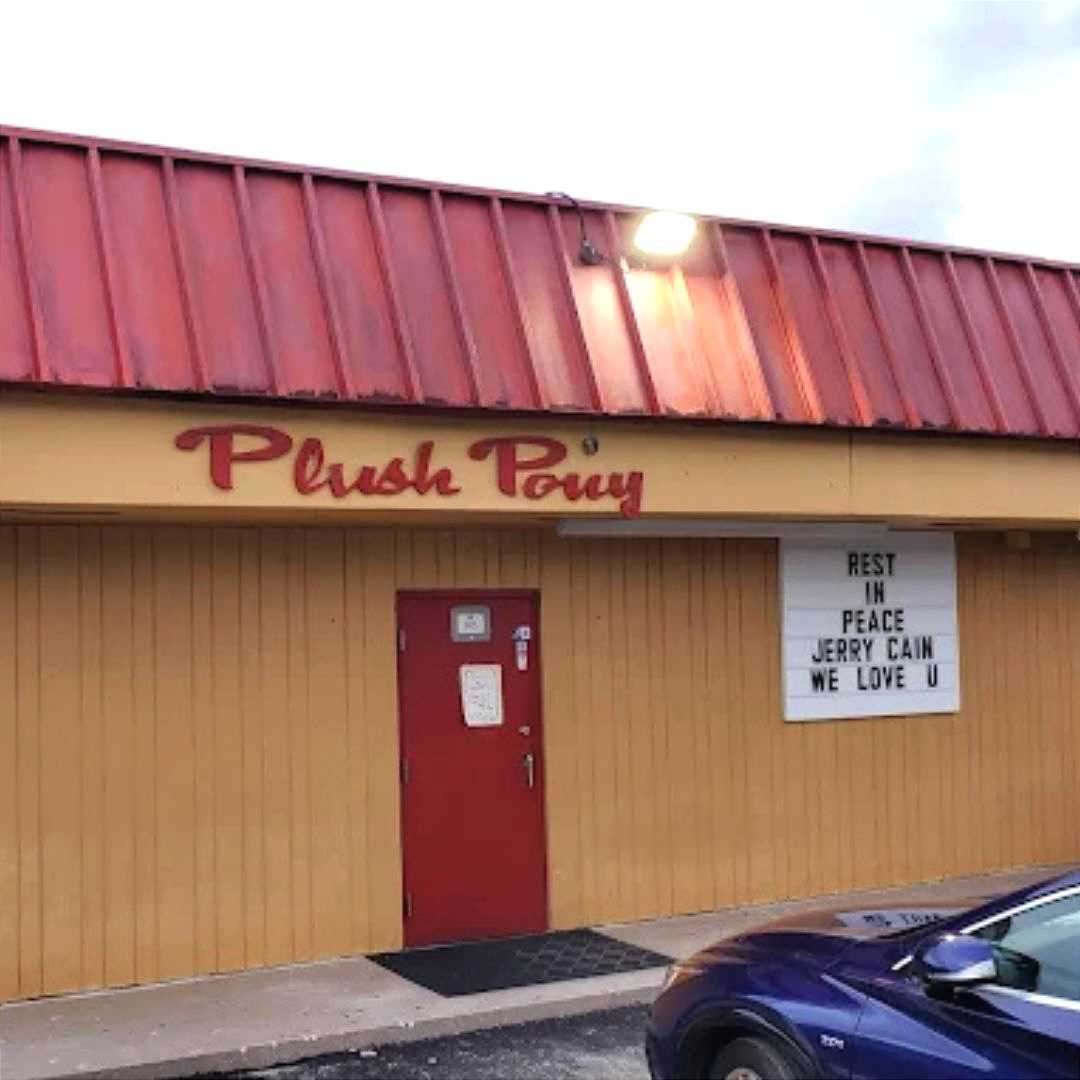 Plush Pony