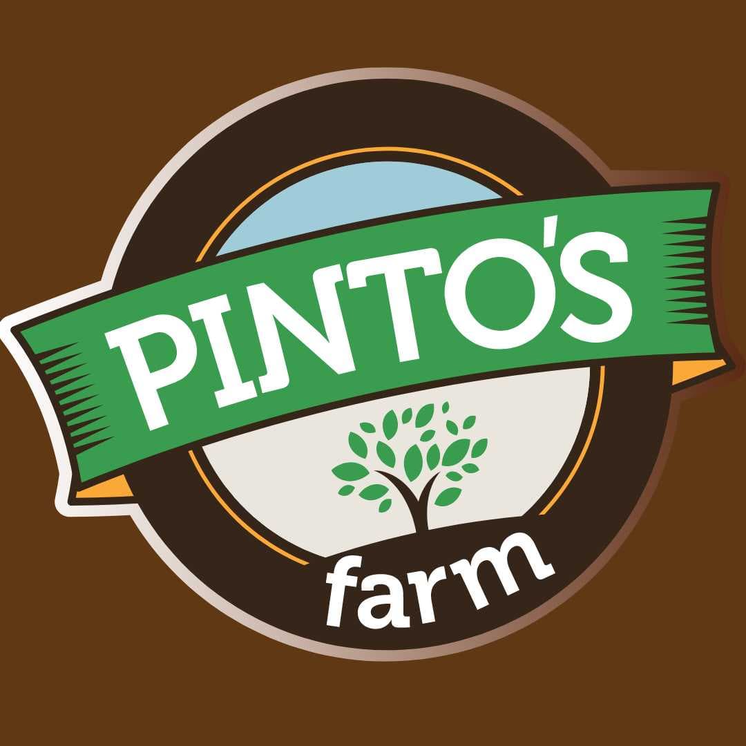 Pinto's Farm