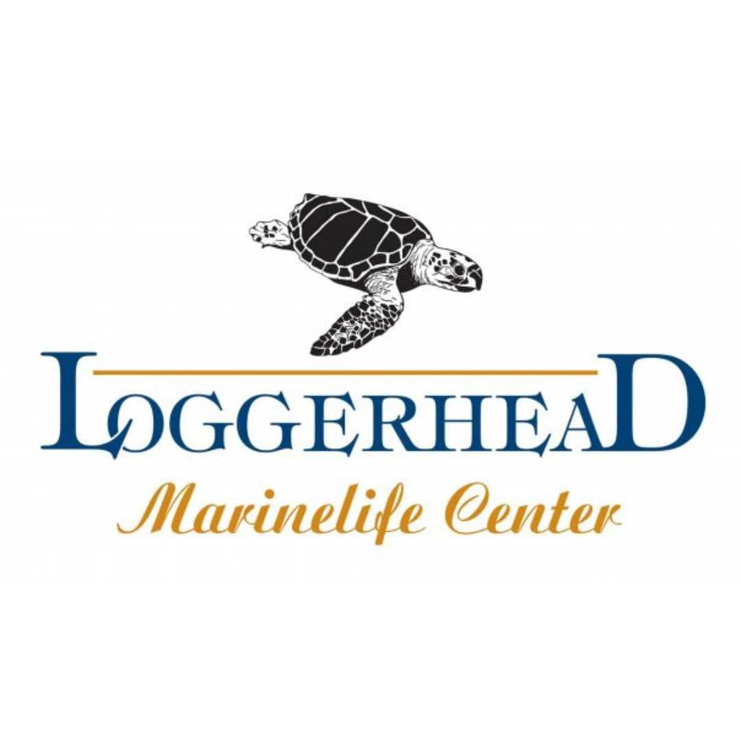 Loggerhead Marinelife Center