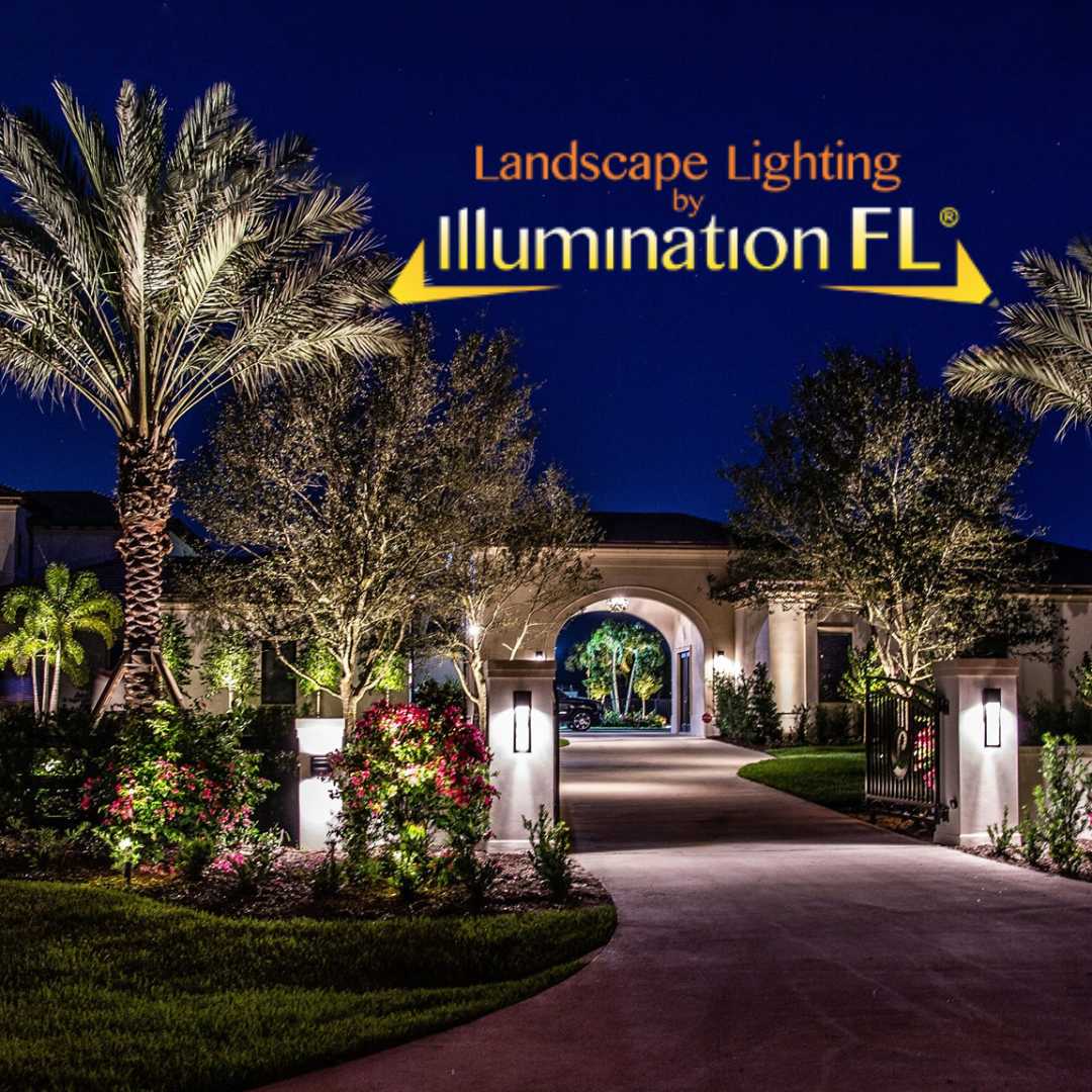 Illumination FL