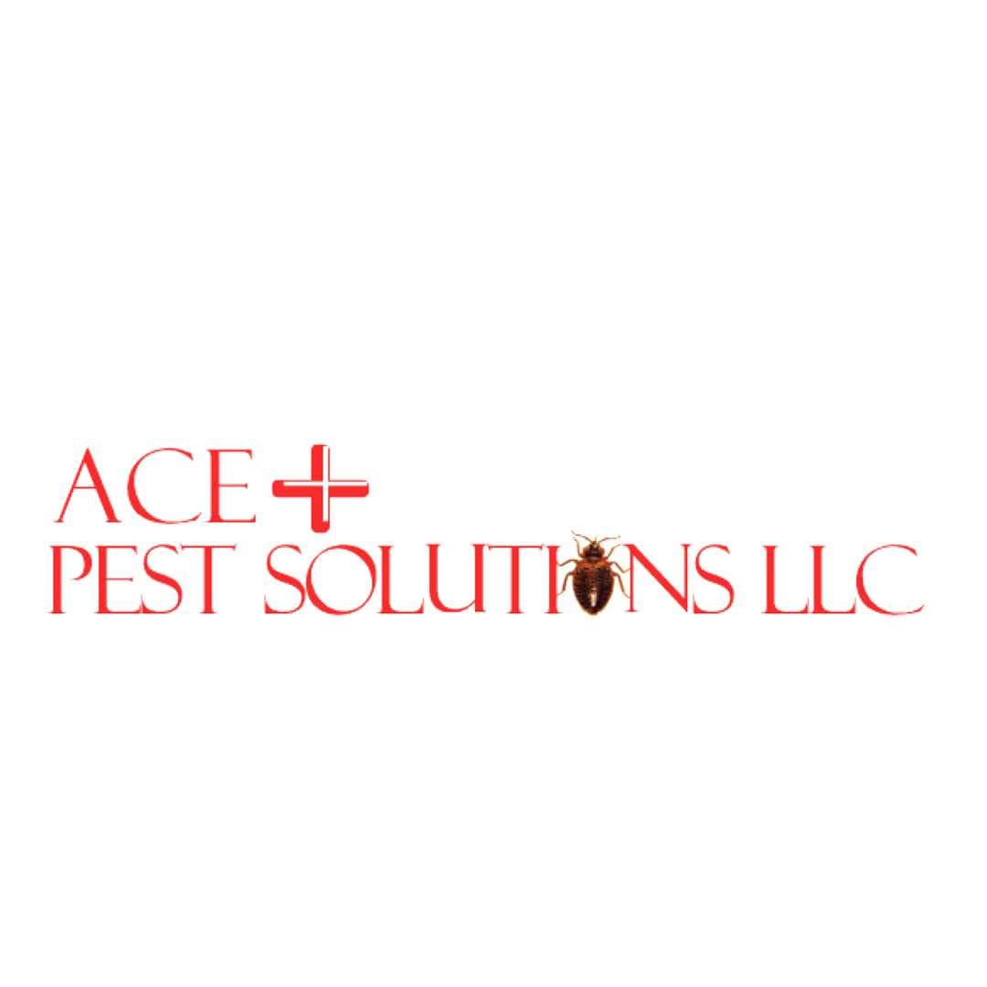 Ace Plus Pest Solutions LLC