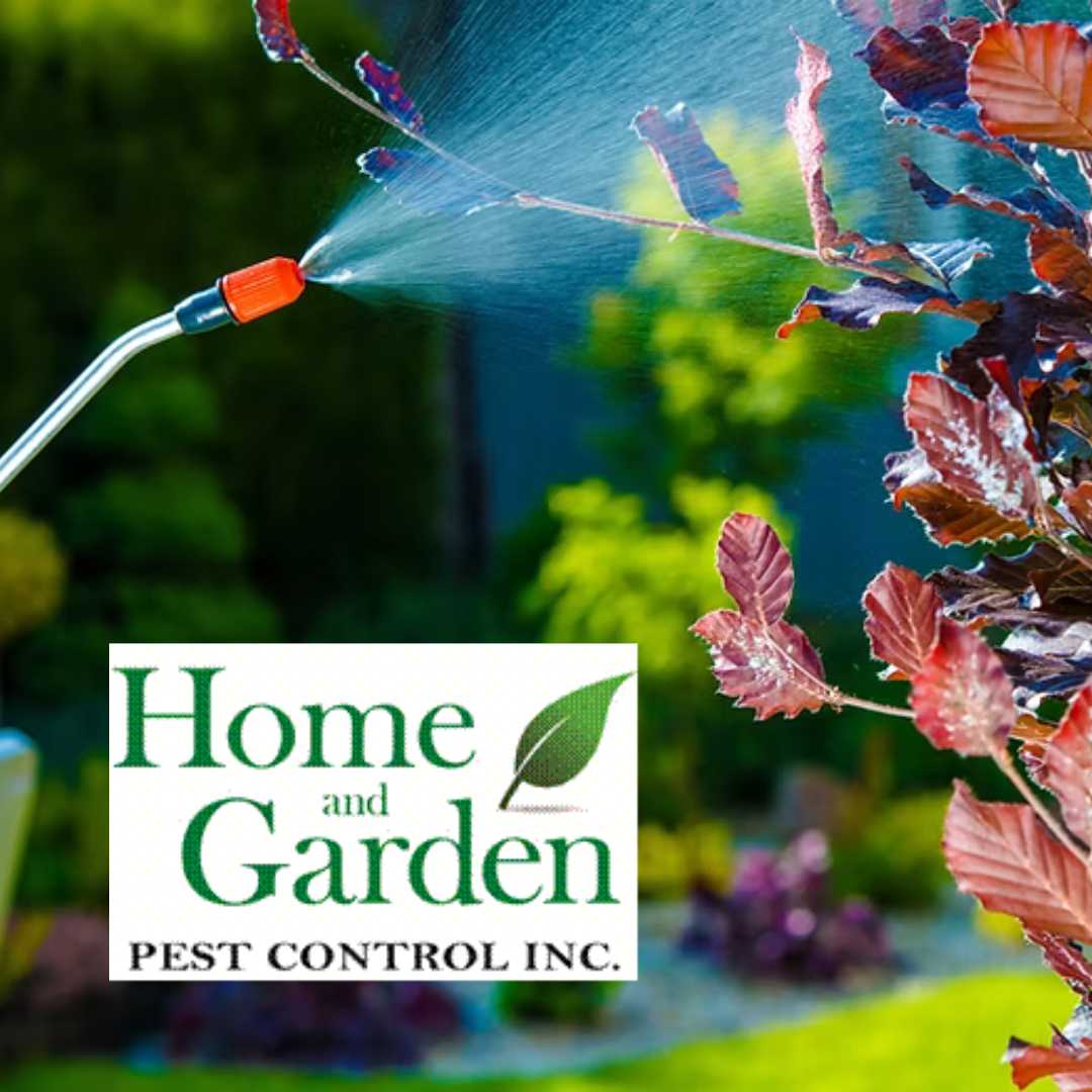 Home and Garden Pest Control Inc.
