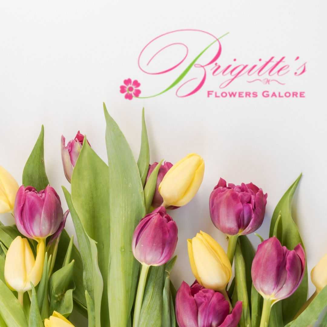 Brigitte's Flowers Galore